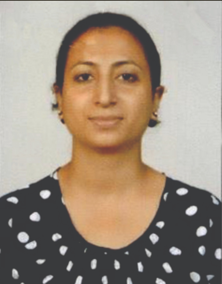 Image Here